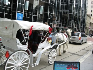 Free Carriage Rides