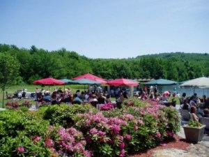 Photo Courtesy: Stone Villa Wine Cellars