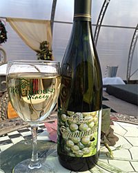 Best of Show-Hybrid 2014 PA Farm Show Photo Courtesy:GWLLC