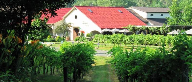 Photo Courtesy: Narcisi Winery