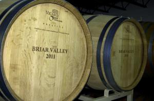 French Oak barrels rest in their racks @ Briar Valley Winery